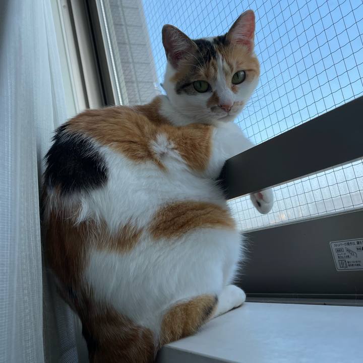 1d1c7ec5 4404 48f1 9b74 35ebf2da4f2e 1688700505170