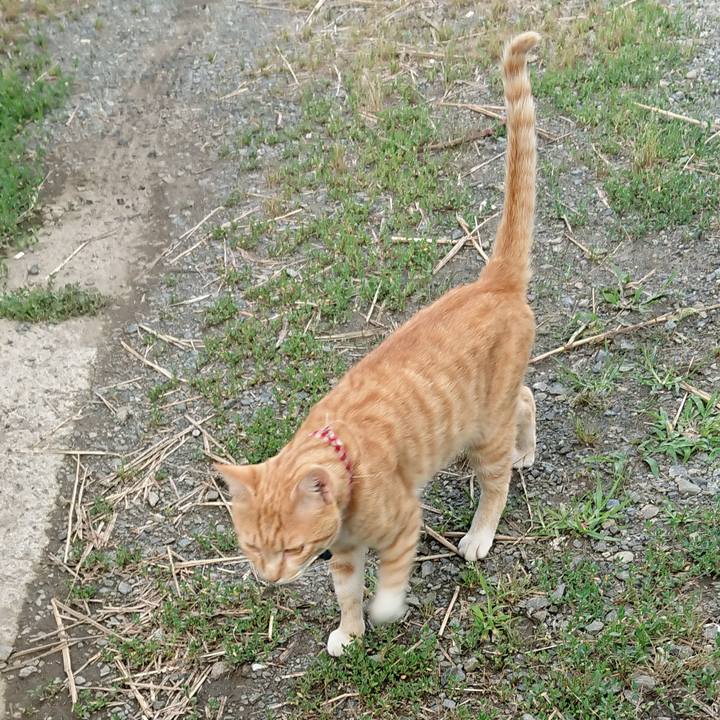 1d1cac17 fa2d 40d3 93da 7294b491f0e8 1561974003887