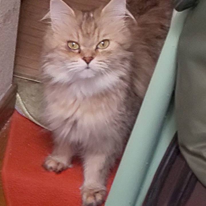 1d1cd0f8 2c46 4f1b 8644 f4336c2ca08d 1627860097742