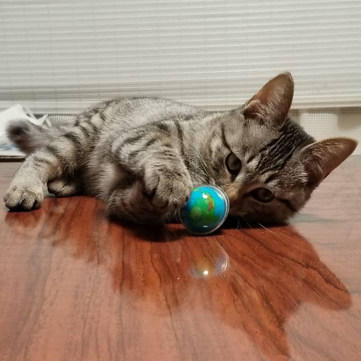 1d1ce28e 4021 4e47 917d f0e0ba38aeb4 1668565110851