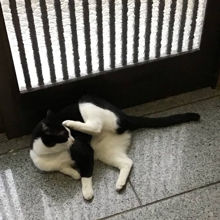 1d1cfb02 8fbf 40cb 8bc2 021de73dcf82 1678357162074