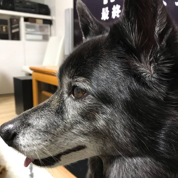 1d1d0032 b116 48bc aa3f 194f273a785a 1616231042339