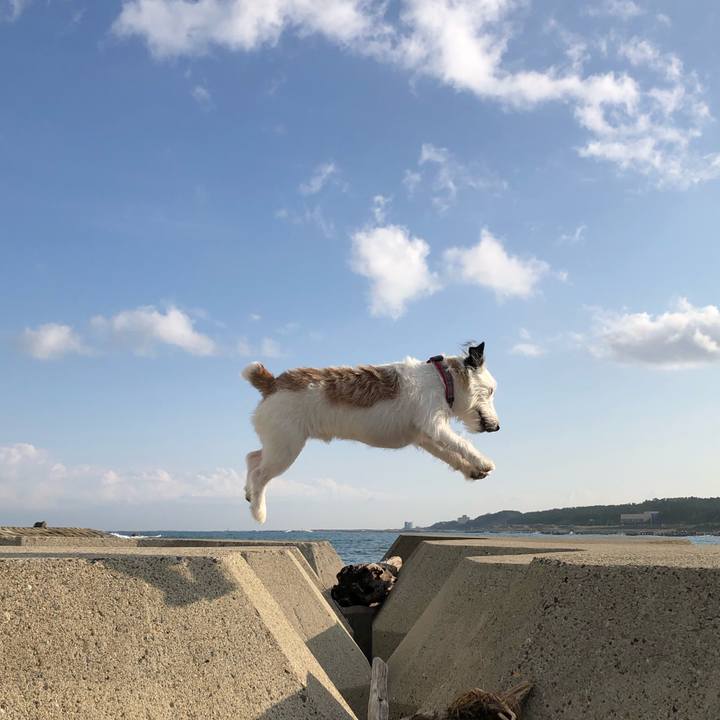 1d1d009c 8d67 43ed b8f7 16aa4fa856b2 1602630522430