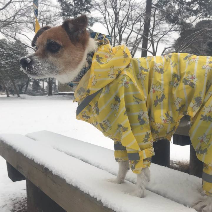 1d1d0e97 dd18 42a3 8810 cfa7b600ce20 1549675181489