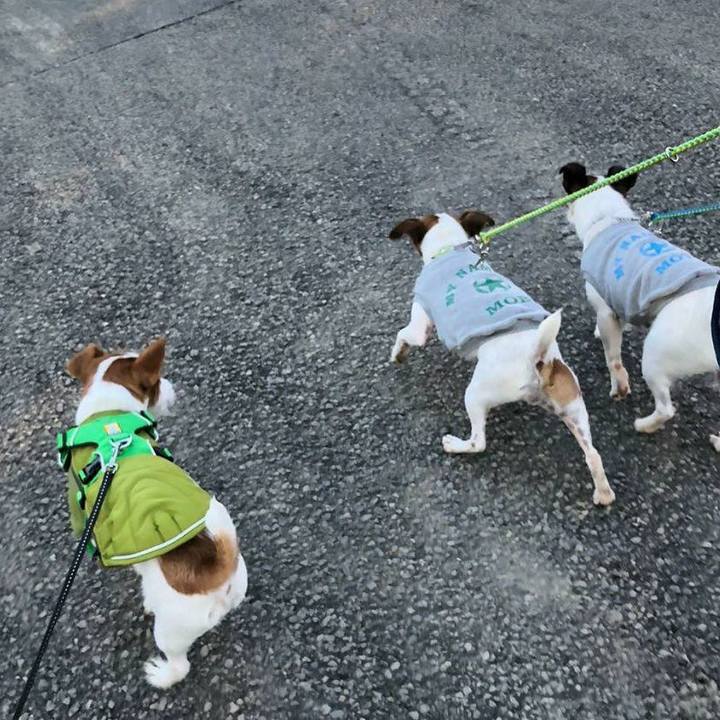 1d1d1e8e 3ab2 4e80 bfca 75aeb2971ca5 1577523041655