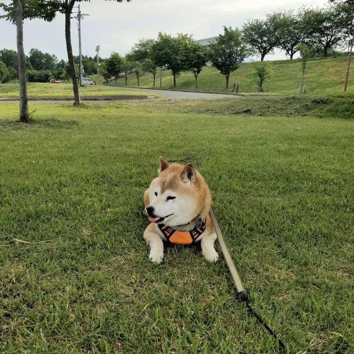 1d1d2c9e c11e 4b35 a71d ac044ef6a7da 1716451672722