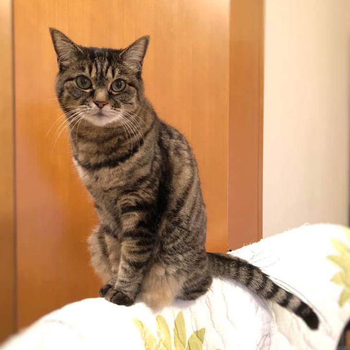 1d1d2e85 12cd 42f2 8992 6396a4f616ca 1766921109456