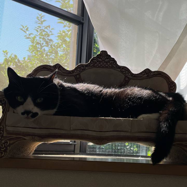 1d1d3126 657e 4217 9d35 da649291cbb9 1718750511579