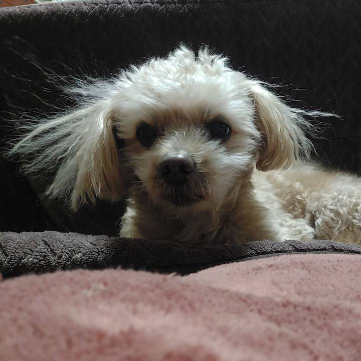 1d1d4083 9d36 471e 999a 8acb9881a3a8 1739255136622