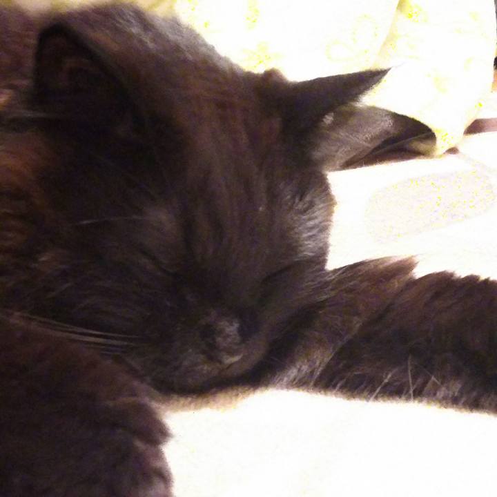 1d1d4446 8c25 4dd0 ad0e 552a67d788f3 1523022954973