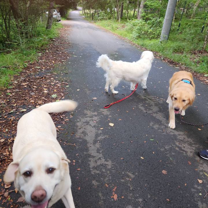 1d1d8111 bbdd 4ec3 8618 ab80ca48e5c5 1755528947162