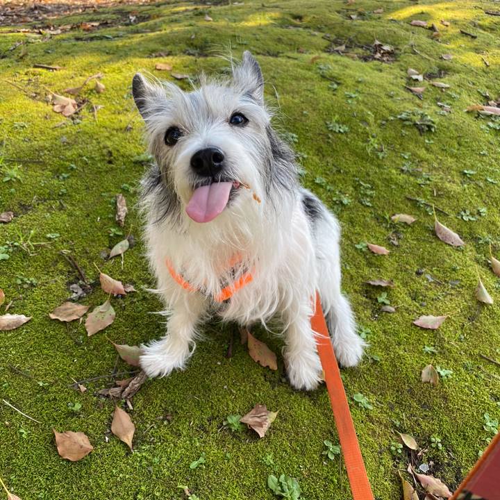 1d1db00d 62a1 4f67 b3cd 655dce485ecb 1584275212051