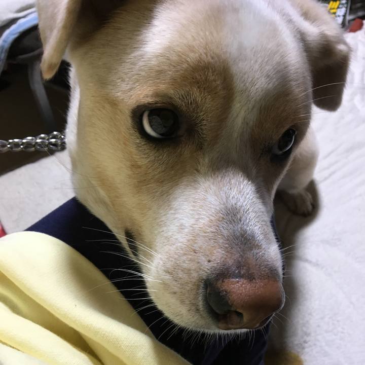 1d1db338 44ee 4e94 9b0b f551709f6cb7 1508856877781