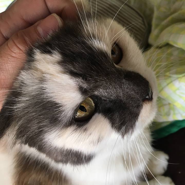 1d1de76f f1c8 46e0 83f2 9667d3ffa301 1522133369420