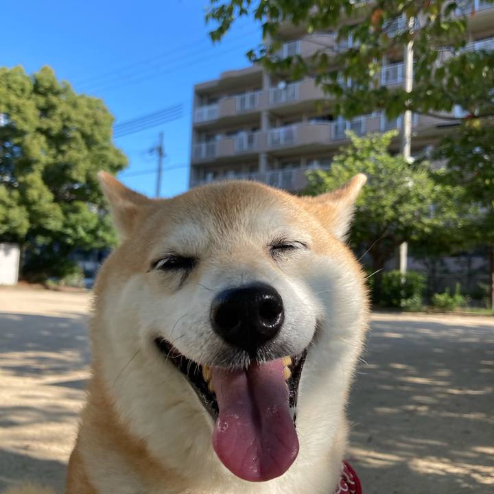 1d1def34 034e 4cea 9edd 31268a41517f 1628168959909