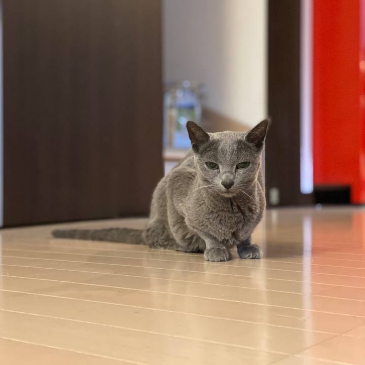 1d1e10e1 f3c1 4bf0 bfcf 05850e645319 1583796748457