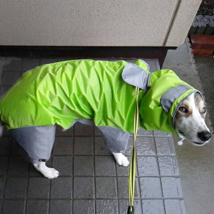 1d1e129e 3170 4e4f 8e97 436263b3752a 1537964274943