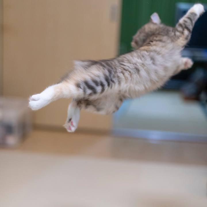 1d1e145d ee9c 473f 9e71 15f547fa5cae 1537679038165