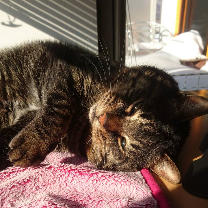 1d1e3d8c e5b0 434d 86ef 9bfa378b5c9f 1517488733345