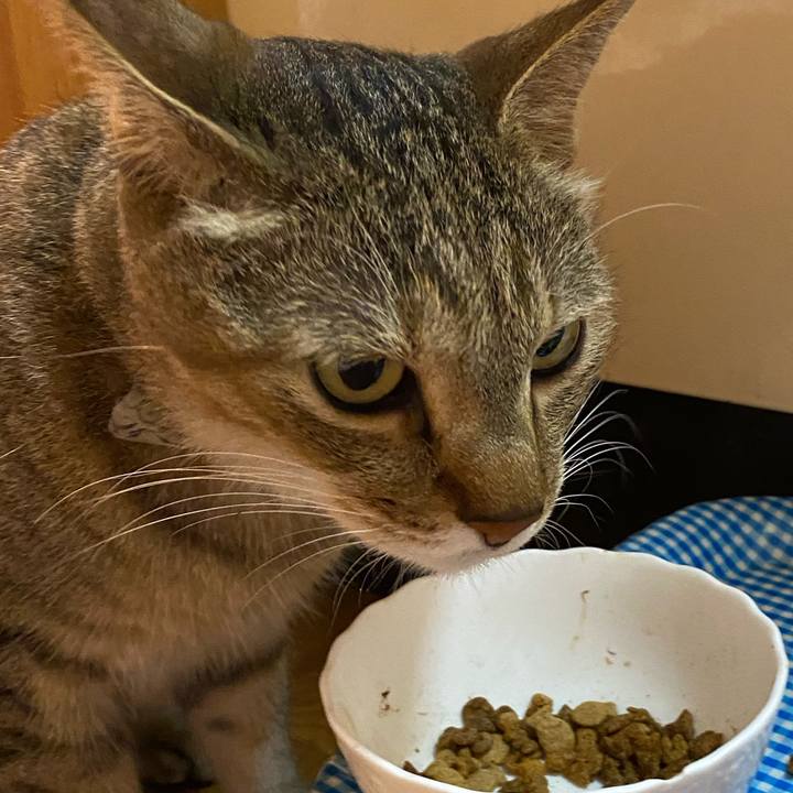 1d1e3f6b 859e 450d 980f 39c8baf5aa7d 1597698023766