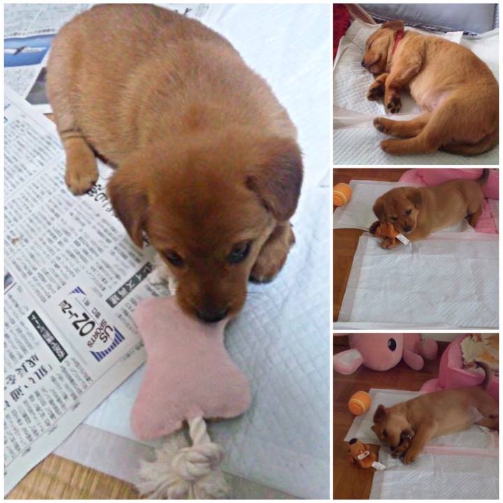 1d1e5486 217a 4125 8cda fa145363e802 1511828808982