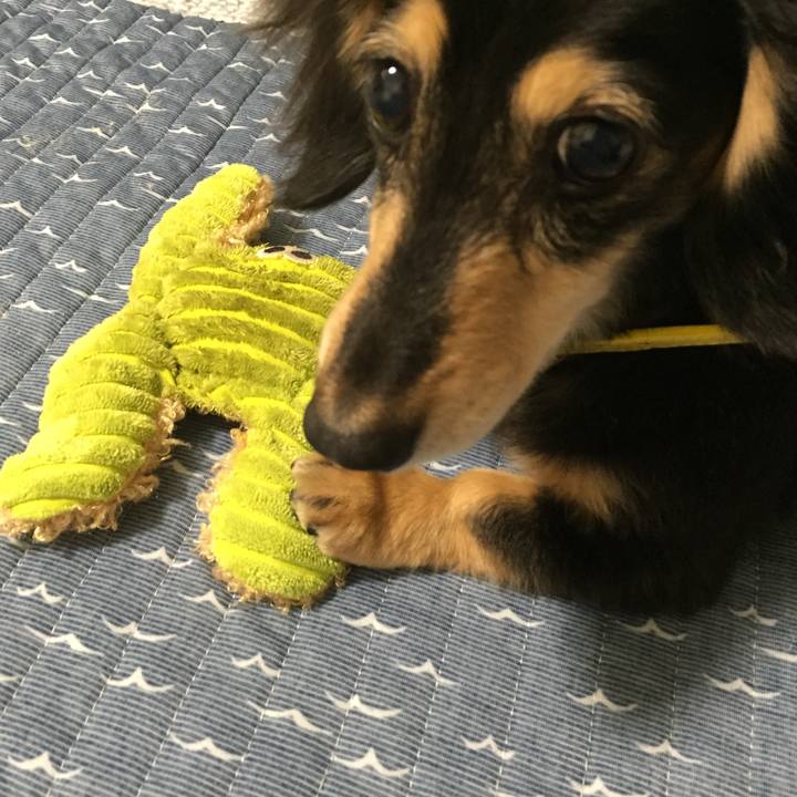 1d1e571d ec63 408d a996 22679a408c28 1593215573715