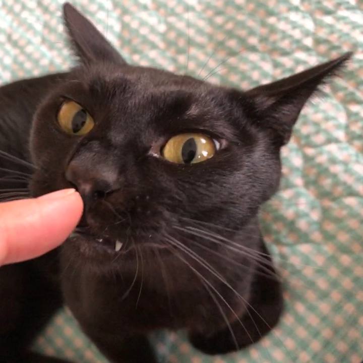 1d1e6ec1 33c5 4a31 8660 8bc5c2e7231f 1663399761517