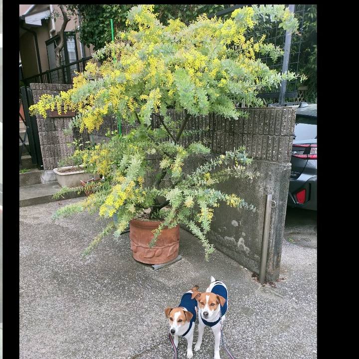 1d1ea5d7 da73 46f9 8bd2 2430a07dfdf8 1772438537632