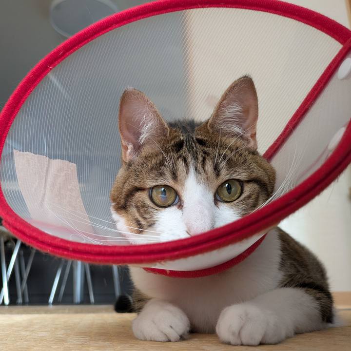 1d1ec180 b741 4dd6 abc9 f17cd4e8a249 1756013792500