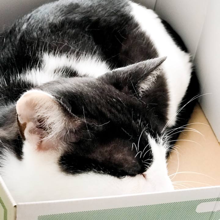 1d1edaf3 bf56 45b4 ac3c e3e2f1de80f7 1531531519187