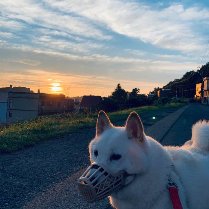 1d1eee12 f808 4373 8361 12dea26ec1f4 1598303421082