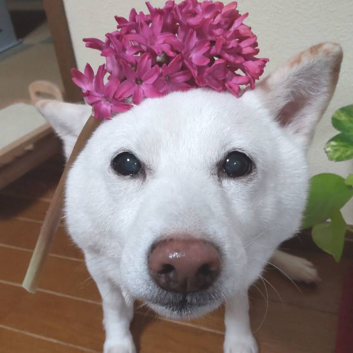 1d1efe45 b606 443e 9bfb 1ed769918100 1674636204348