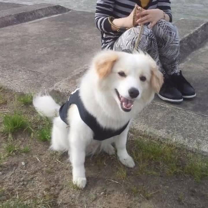 1d1f3646 d986 4a95 af87 80f4f0ee281f 1550242150770