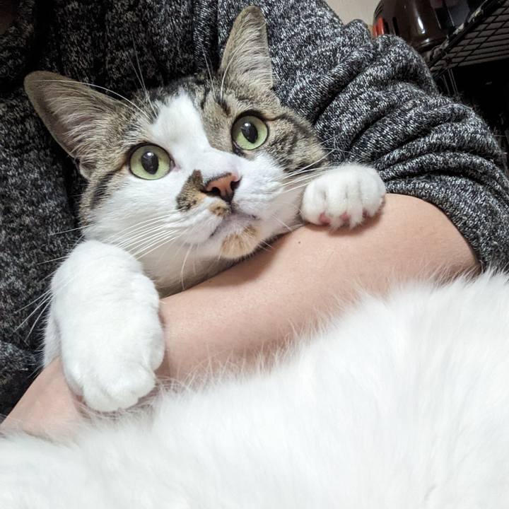 1d1f3ecd d087 46b6 aab6 3f6210b4267c 1711756392237