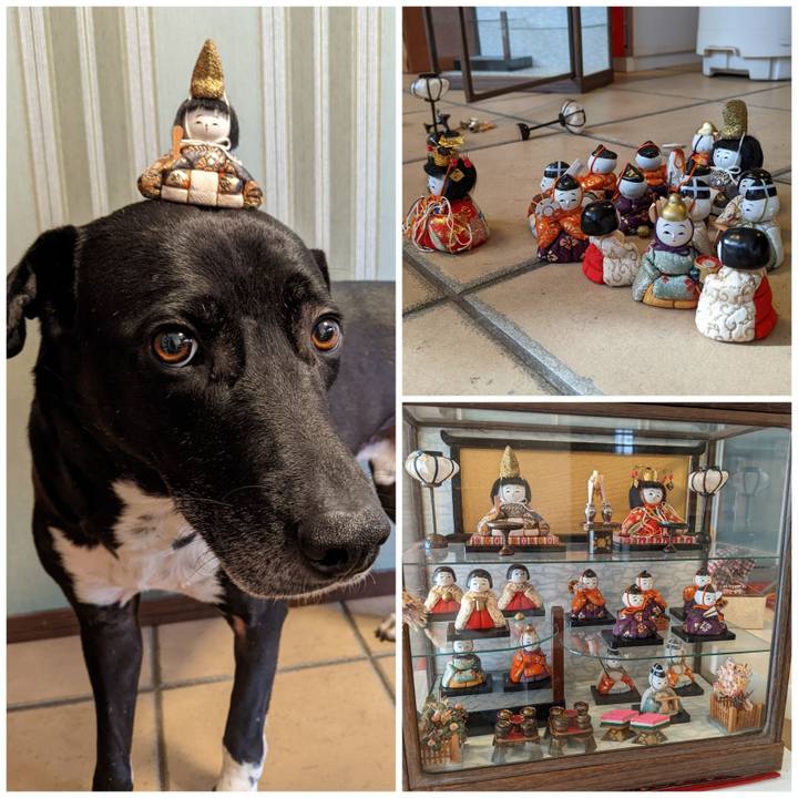 1d1f54f3 7912 4b42 beae ae10537b50dc 1644818482362