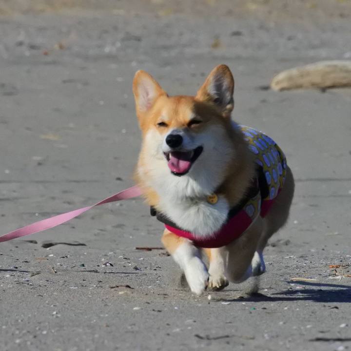 1d1f6855 b640 46d5 a9ad 2e07ec8e97ab 1613212816824