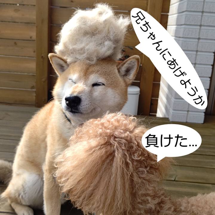 1d1f7262 5a96 4ef6 a989 8716edf39f81 1617007146242