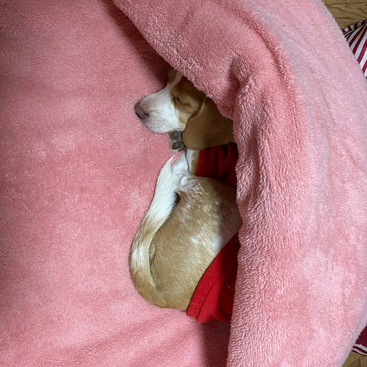 1d1fce5e a350 4e66 acdc 48c73cf84bcb 1576419236601