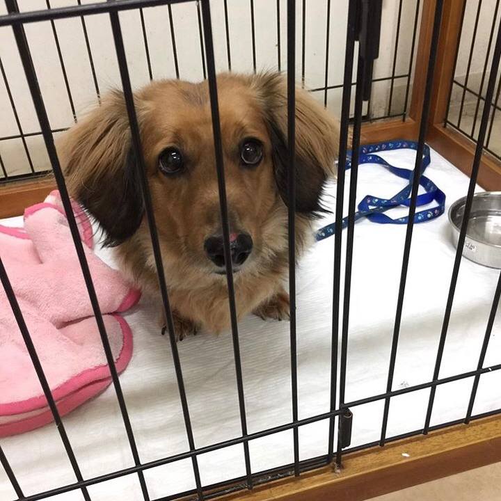 1d20669b b485 493a 8f43 7286e6a366f6 1586095592344