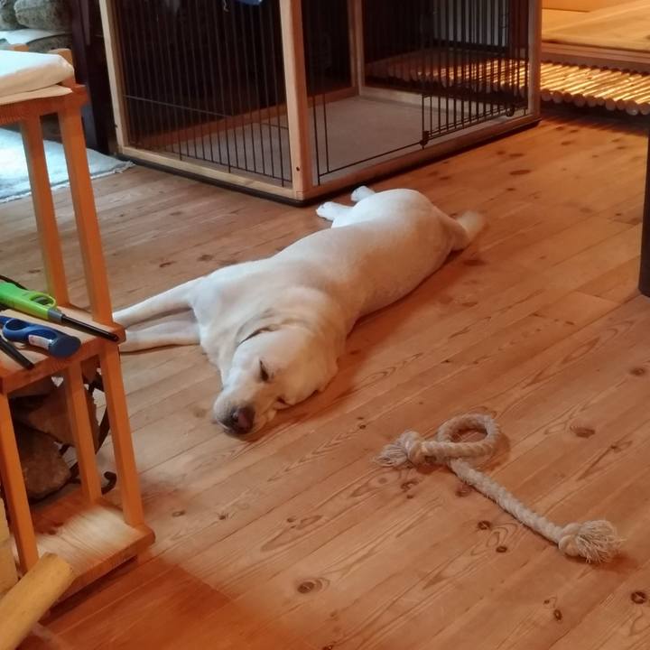 1d207fcf d50c 4ade b48e 4b74f8ad8ee9 1534249157446