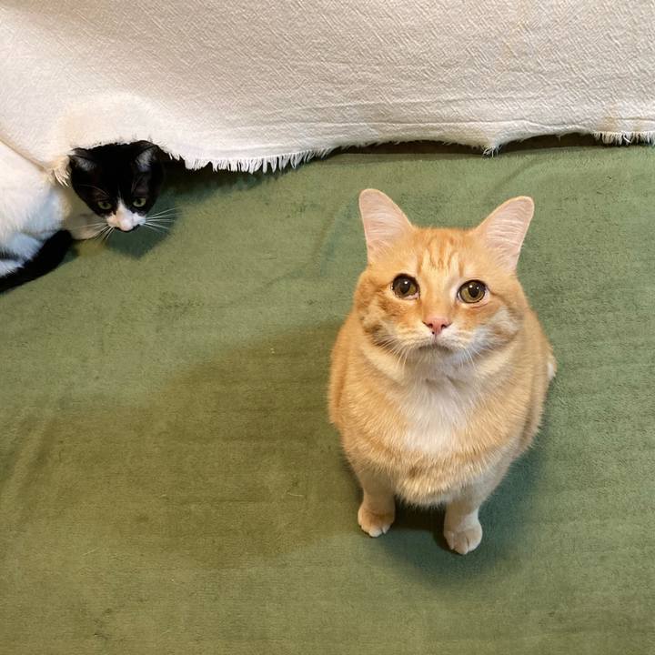 1d208caf b306 407d 9675 f82ad42d76ae 1765287867945