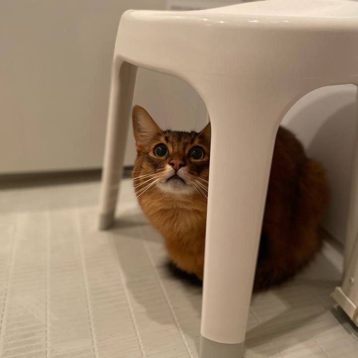 1d212461 af3a 4765 81ae e0b703802d23 1665133492006