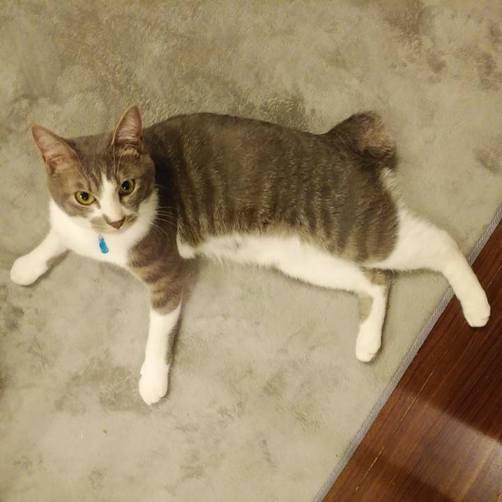 1d21543b e443 4ab2 8c6a 2c7b2e225e2e 1590234583647