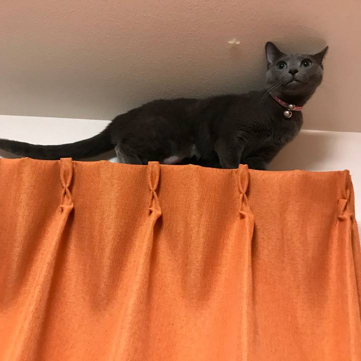 1d21562a a5e1 489f b226 b03dc044c4b2 1513341277808