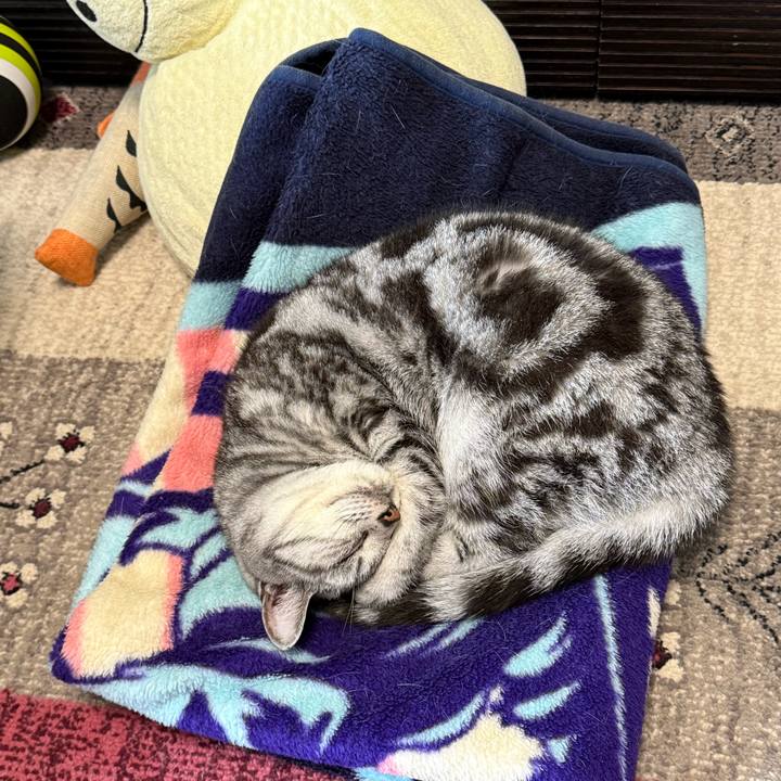 1d217014 90fc 4416 9b72 cb304b8aa6f0 1761777778705