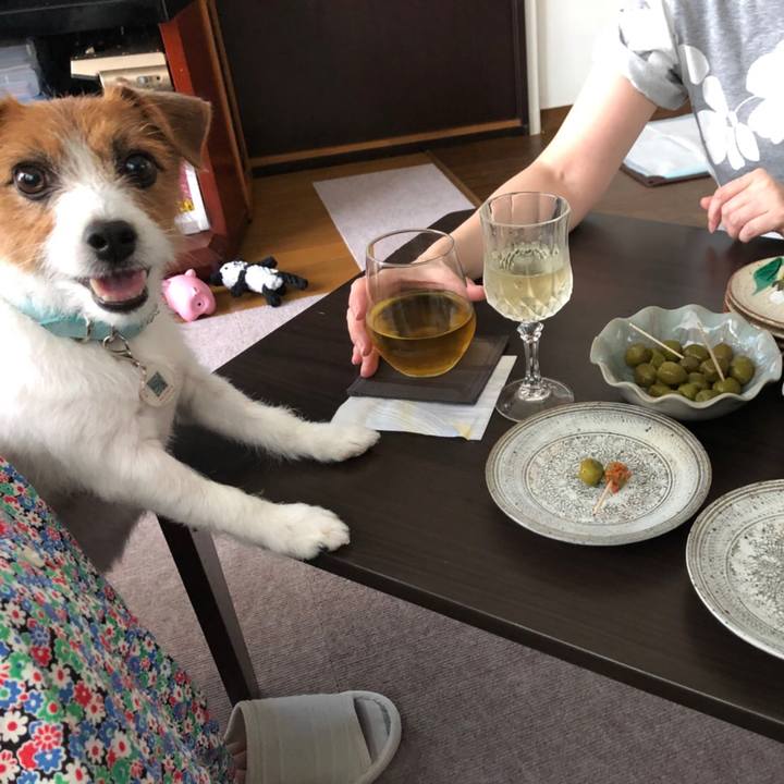 1d218577 113b 4e16 ba6b 494092670121 1533469506098