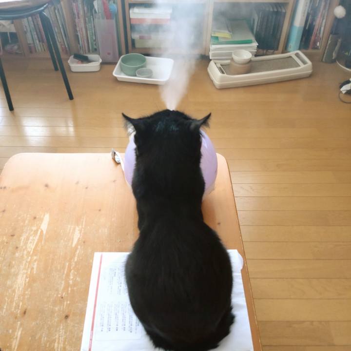 1d218783 cdc3 41be 8baf 3bc63809c585 1672451110146