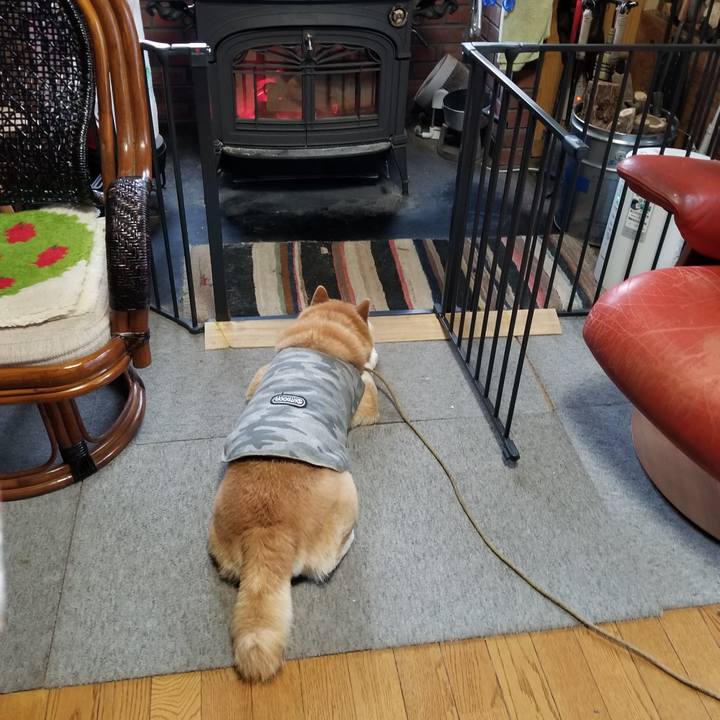 1d2221c7 692f 41e3 9186 cecb295fcb67 1678668795655