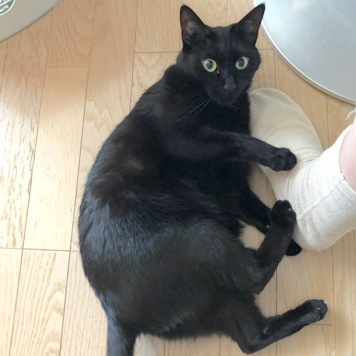 1d22230d d572 415b 865d 104c06af0af5 1517714147274