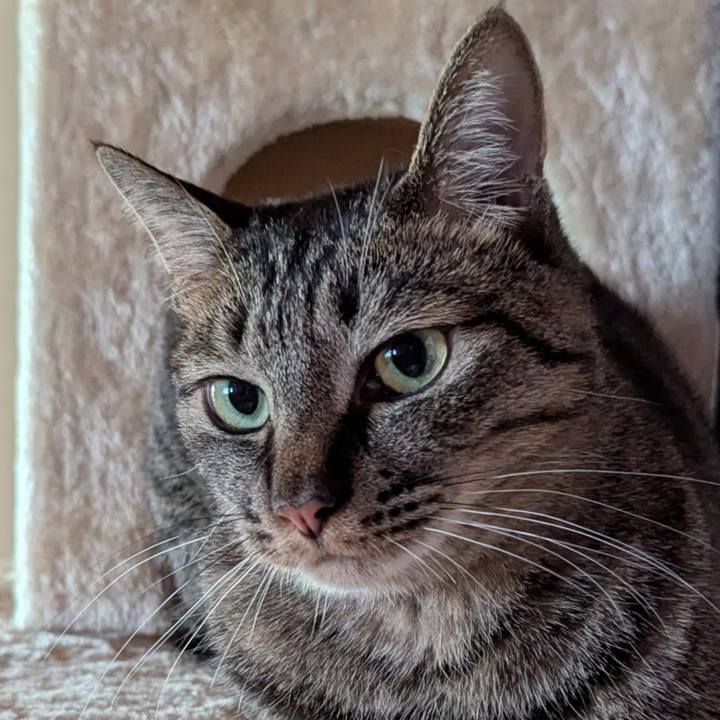 1d22294c ec79 4cf8 851b 41b67cfe1cbb 1743400901084